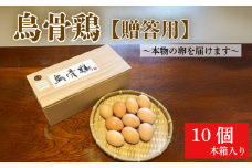 卵 烏骨鶏 鶏卵 10個 国産 自然飼育 玉子 | 四国 徳島 たまご 玉子 卵かけご飯 生卵 卵焼き 栄養価 濃厚  贈答用 おすすめ  鶏 鶏卵 最強のTKG 高級 平飼い 採れたて 希少 国産  たまご 卵 タマゴ 玉子 鶏卵 エッグ TKG ゆで卵 オムライス オムレツ 料理  鶏 ニワトリ 人気 こだわり 四国 徳島 ふるさと納税 栄養素 ビタミン 有精卵 濃厚  新鮮【送料無料】
