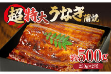 うなぎ 蒲焼き 500g 特大 250g×2尾 タレ付き 冷凍 小分け 特上うなぎ うなぎ 料亭 肉厚 ふっくら 香ばしい うなぎ蒲焼き 鰻蒲焼 養殖鰻 養殖うなぎ 温めるだけ 簡単調理 うな重 うな丼 土用 丑の日 ふわふわ パリパリ 手焼き ご飯 米 丼 お歳暮 ギフト プレンゼント 贈答 【 北海道・東北・沖縄・離島への配送不可 】