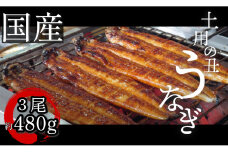 【2週間配送】国産 うなぎ 蒲焼 3尾（約480g）冷蔵 特上うなぎ 頭付き かば焼き うなぎ蒲焼き 鰻 土用の丑の日 丑の日 夏 スタミナ たれ 秘伝 うな重 ひつまぶし 人気 地元で人気 おすすめ タレ 焼き 
