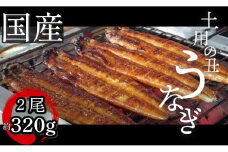  うなぎ 鰻 ウナギ 国産 蒲焼き 2尾（約320g）冷蔵 特上 タレ付き かば焼 蒲焼 鰻蒲焼き 鰻蒲焼 養殖鰻 養殖うなぎ うな重 うな丼 ひつまぶし タレ セット 魚 魚介 惣菜 ギフト 贈り物 贈答 土用の丑 土用 丑の日 和食 日本料理 徳島県