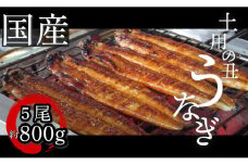  【2週間配送】国産 うなぎ 蒲焼 5尾（約800g）冷蔵 特上うなぎ 頭付き かば焼き うなぎ蒲焼き 鰻 土用の丑の日 丑の日 夏 スタミナ たれ 秘伝 うな重 ひつまぶし 人気 地元で人気 おすすめ タレ 焼き 