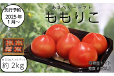 【先行予約】2025年2月発送 ももりこトマト 約2kg(約250g×8パック)　フルーツ トマト 糖度8以上 徳島 甘い 野菜 人気 おすすめ  産地 直送 ふるさと納税 野菜 ヘルシー 健康 小分け パック 
