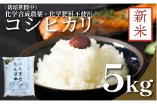 【令和7年産新米先行予約】お米 5kg コシヒカリ 新米 令和7年産 米 こめ ご飯 ごはん おにぎり 卵かけご飯 白米 化学合成農薬不使用 食品 備蓄 備蓄米 保存 防災 ギフト 贈答 プレゼント お取り寄せ グルメ 送料無料 徳島県