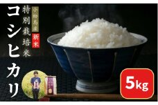 【2025年9月順次発送】 令和7年産 新米 白米 コシヒカリ 5kg 特別栽培米 健康 安心 安全   四国 徳島 小松島 送料無料  米 おいしい kome お米 こめ おこめ こしひかり 白米 精米 国産 ごはん ご飯 白飯 ゴハン 人気 コスパ おすすめ ふるさと TKG 卵かけご飯 おにぎり おむすび うめ 鮭 海苔