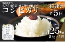 【令和7年産新米】新米 定期便 5回  米 コシヒカリ 計25kg 5kg × 5回 白米 お米 おこめ こめ 精米 ごはん 国産 限定 白飯 ご飯 精米したて ふるさと ランキング おいしい TKG 卵かけご飯 おにぎり おむすび 化学合成農薬不使用 いのち育む田んぼ米 生物多様性 送料無料 【北海道･東北･沖縄･離島への配送不可】 徳島県 小松島市  