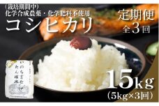 【令和7年産新米】 定期便 3回  米 コシヒカリ 計15kg 5kg × 3回 白米 お米 おこめ こめ 精米 ごはん 国産 限定 白飯 ご飯 精米したて ふるさと ランキング おいしい TKG 卵かけご飯 おにぎり おむすび 化学合成農薬不使用 いのち育む田んぼ米 生物多様性 送料無料 【北海道･東北･沖縄･離島への配送不可】  徳島県 小松島市   