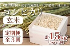 【令和7年産新米】玄米 定期便 3回  米 コシヒカリ 計15kg 5kg × 3回 お米 おこめ こめ ごはん 国産 白飯 ご飯 TKG 卵かけご飯 おにぎり おむすび 新生活 ふるさと ランキング 栄養 健康 安全 化学合成農薬不使用  いのち育む田んぼ米 生物多様性 送料無料 【北海道･東北･沖縄･離島への配送不可】 徳島県 小松島市  