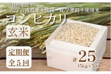【令和7年産新米】　玄米 定期便 5回  米 コシヒカリ 計25kg 5kg × 5回 お米 おこめ こめ ごはん 国産 白飯 ご飯 TKG 卵かけご飯 おにぎり おむすび 新生活 ふるさと ランキング 栄養 健康 安全 化学合成農薬不使用 いのち育む田んぼ米 生物多様性 送料無料 【北海道･東北･沖縄･離島への配送不可】 徳島県 小松島市 
