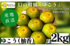 ゆこう 2kg 柑橘 徳島 ゆず すだち みかん 柚子 すだち 酢 お酢 果汁 お酒 焼き魚 さっぱり オーガニック ふるさと納税 人気