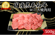 ロース 焼肉用 500g 国産 黒毛和牛 とくしま三ツ星ビーフ 徳島県産 ブランド 和牛 牛肉 ふるさと納税 阿波牛 牛肉 ぎゅうにく 牛 肉 牛肉 国産 黒毛和牛 肉 焼肉 焼き BBQ キャンプ飯 アウトドア おすすめ  ビーフ 大容量 お祝い 誕生日 記念日 プレゼント ギフト  【北海道・東北・沖縄・離島への配送不可】
