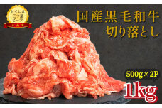 切り落とし 1kg（ 500g ×2P) 国産 黒毛和牛 とくしま三ツ星ビーフ 徳島県産 ブランド 和牛 牛肉 ふるさと納税 焼肉 炒め物 煮込み 焼き すき焼き 煮物 カレー 料理 使いやすい 時短  お祝い ギフト 贈り物 プレゼント 【北海道・東北・沖縄・離島への配送不可】