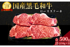 ロース ステーキ 500g （250g×2枚） 国産 黒毛和牛 とくしま三ツ星ビーフ 徳島県産 ブランド 和牛 牛肉 ふるさと納税 阿波牛 牛肉 ぎゅうにく 牛 肉 牛肉 国産 黒毛和牛 肉 ステーキ BBQ キャンプ飯 アウトドア おすすめ  ビーフ 大容量 お祝い 誕生日 記念日 プレゼント ギフト 贅沢 ディナー 【北海道・東北・沖縄・離島への配送不可】