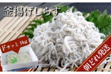 しらす 冷蔵  1kg｜ 瀬戸内海 四国 徳島 小松島  ｜朝どれ 水揚げ 釜揚げ ｜ 太平洋 瀬戸内海 結ぶ 紀伊水道 鳴門 海域 ｜ しらす丼 魚介 シーフード 特産品 海産物 新鮮 惣菜  国産 鮮度 ふるさと納税 採れたて 安全 安心 カルシウム 小分け | 新米 白米 玄米 卵ご飯 【北海道･沖縄･東北･離島への配送不可】 【先行予約】 【2025年6月下旬より順次発送】