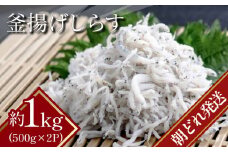 しらす 冷蔵  1kg（500g×2パック） 瀬戸内海 四国 徳島 小松島  ｜ 水揚げ 釜揚げ｜ 太平洋 瀬戸内海 結ぶ 紀伊水道 鳴門 海域 ｜ しらす丼 魚介 シーフード 特産品 海産物 新鮮 惣菜  国産 鮮度 ふるさと納税 採れたて 安全 安心 カルシウム 小分け | 新米 白米 玄米 卵ご飯 【北海道･沖縄･東北･離島への配送不可】 【先行予約】 【2025年6月下旬より順次発送】
