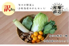 訳あり 季節のお野菜5品とみかんセット 季節 旬 野菜 詰め合せ 国産 みかん 季節 旬 おまかせ 産地直送 春野菜 夏野菜 秋野菜 きのこ 葉物 果物 果菜 根菜 冷蔵 野菜室 ダイエット 食 栄養食 加工品 カット野菜 小松島産 季節限定