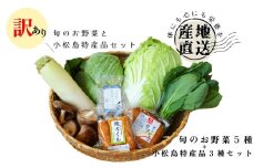 訳あり 季節のお野菜5品と小松島特産品セット 季節 旬 野菜 詰め合せ 国産 季節 旬 おまかせ 産地直送 春野菜 夏野菜 秋野菜 きのこ 葉物 果物 果菜 根菜 冷蔵 野菜室 ダイエット 食 栄養食 加工品 カット野菜 小松島産 季節限定