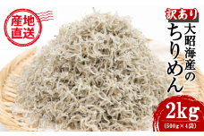 訳あり ちりめん 2kg 国産 しらす ちりめんじゃこ 鰯 いわし 魚 海鮮 魚介類 魚貝 干物 乾物 産地直送 しらすご飯 ごはん おにぎり 米 こめ 不揃い 規格外 家庭用 お取り寄せ グルメ おつまみ 弁当 おかず おやつ 酒の肴 惣菜 パスタ ピザ ちりめん山椒 冷蔵 送料無料 和田島産 徳島県 小松島市 【北海道・東北・沖縄・離島配送不可】