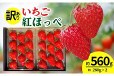 訳あり いちご 紅ほっぺ 大粒 560g以上 ( 約280g × 2パック ) 2週間発送 苺 ストロベリー べにほっぺ 果物 フルーツ ベリー デザート スイーツ おやつ ケーキ ゼリー ジュース ジャム アイス シャーベット スムージー ヨーグルト クレープ タルト チョコ 大福 フルーツサンド ギフト プレゼント 朝摘み 贈答 お取り寄せ グルメ 冷蔵 送料無料 徳島 小松島 