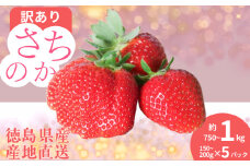 訳あり いちご さちのか 5パック 1パック150g~200g 計約750g~1kg 季節限定 ブランド 苺 大粒 旬 産地 直送 期間限定 限定出荷 フレッシュ ストロベリー フルーツ 果物 くだもの 国産 洋菓子 和菓子 スイーツ お菓子 おやつ アイス ケーキ パフェ タルト ゼリー 人気 おいしい 甘い あまい 四国 徳島県 小松島市 【2026年1月より順次発送】