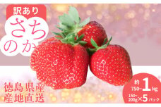 訳あり いちご さちのか 5パック 1パック150g~200g 計約750g~1kg 季節限定 ブランド 苺 大粒 旬 産地 直送 期間限定 限定出荷 フレッシュ ストロベリー フルーツ 果物 くだもの 国産 洋菓子 和菓子 スイーツ お菓子 おやつ アイス ケーキ パフェ タルト ゼリー 人気 おいしい 甘い あまい 四国 徳島県 小松島市 【2026年1月より順次発送】