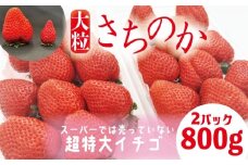 いちご さちのか 大粒 2パック ( 1パック 約400g前後 ) 計約800g前後 ビッグサイズ 特選 朝採れ 産地直送 苺 イチゴ ストロベリー フルーツ 果物 洋菓子 和菓子 スイーツ お菓子 おやつ アイス ケーキ パフェ タルト ゼリー イチゴ ブランド 大粒 フレッシュ ベリー 甘い おいしい 朝摘み 送料無料 徳島 小松島 【2026年1月より順次発送】