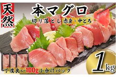 天然本まぐろ 切り落とし 1kg(100g×10P） マグロ 本まぐろ 中とろ 赤身 天然 鮪 小分け 冷凍 刺身 漬け 晩酌 寿司 ユッケ マグロ丼 ねぎとろ 海鮮
