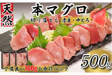 天然本まぐろ 切り落とし 500g(100g×5P） マグロ 本まぐろ 中とろ 赤身 天然 鮪 小分け 冷凍 刺身 漬け 晩酌 寿司 ユッケ マグロ丼 ねぎとろ 海鮮