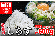 しらす 釜揚げ 定期便 計600g 200g ×3回 ちりめんじゃこ じゃこ しらす ちりめん 小魚 魚 海鮮 魚介類 魚貝 シーフード いわし 鰯 おかず おつまみ 惣菜 弁当 ご飯 のお供 ごはん 酒の肴 のお供 小分け 冷蔵 新鮮 海鮮 お取り寄せ グルメ ギフト プレゼント 贈答 人気 おすすめ 徳島県 小松島市 和田島産