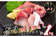 ぶり 切り落とし ブリカマ2Pセット 計1Kg 徳島ブランド すだち 鰤 ブリ 刺身 ぶりしゃぶ 丼 ブリカマ 焼き魚 スダチ 海産物 冷凍 徳島 小松島市