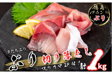 ぶり 切り落とし ブリカマ2Pセット 計1Kg 徳島ブランド すだち 鰤 ブリ 刺身 ぶりしゃぶ 丼 ブリカマ 焼き魚 スダチ 海産物 冷凍 徳島 小松島市