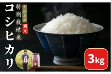 【2025年9月順次発送】令和7年産 新米 白米 コシヒカリ 3kg 特別栽培米 健康  安心 安全  お試し 少量 小分け 四国 徳島 小松島 米 おいしい kome お米 こめ おこめ こしひかり 精米 国産 ごはん ご飯 白飯 ゴハン 人気 コスパ おすすめ TKG 卵かけご飯 おにぎり おむすび