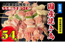 焼き鳥 セット 54本 もも つくね ねぎま 鶏肉 やきとり 串焼 チキン もも肉 つくね おかず 塩焼き スパイス 照り焼き おつまみ ビール BBQ パーティー イベント 小分け 包装 冷凍 徳島 小松島 とり信