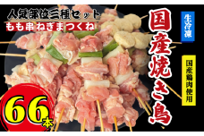 焼き鳥 セット 66本 もも つくね ねぎま 鶏肉 やきとり 串焼 チキン もも肉 つくね おかず 塩焼き スパイス 照り焼き おつまみ ビール BBQ パーティー イベント 小分け 包装 冷凍 徳島 小松島 とり信
