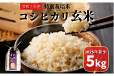 【先行予約2025年9月順次発送】コシヒカリ 玄米 5kg 特別栽培米 新米 米 こめ お米 健康 栄養 たっぷり 一等米 美味しい ビタミン ミネラル 小松島市