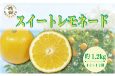 【2025年10月順次発送】 スイートレモネード 1.2kg (10～12個)  レモン れもん 檸檬 柑橘 フルーツ 果物 完熟 国産 ノーワックス 農家直送 新鮮 果汁 レモンサワー お酒 ハイボール レモネード ジュース 酎ハイ ケーキ 揚げ物 唐揚げ 小松島 徳島