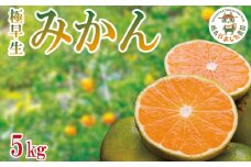 【2025年9月順次発送】 極早生みかん5kg  みかん 温州みかん 極早生 早生 完熟 柑橘 果物 フルーツ 国産 新鮮 【北海道、東北、離島、沖縄配送不可】