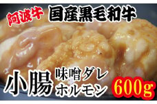 ホルモン 小腸 阿波牛 味噌漬け 200g×3パック 小分け 計600g  国産 牛 黒毛和牛 鍋 焼肉 脂 焼き ホソ もつ 肉 牛肉 BBQ 【北海道・東北・沖縄・離島への配送不可】