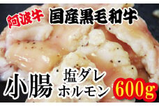 ホルモン 小腸 阿波牛 塩漬け 200g×3パック 小分け 計600g  国産 牛 黒毛和牛 鍋 焼肉 脂 焼き ホソ もつ 肉 牛肉 BBQ 【北海道・東北・沖縄・離島への配送不可】