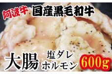 ホルモン 大腸 阿波牛 塩漬け 200g×3パック 小分け 計600g  国産 牛 黒毛和牛 鍋 焼肉 脂 焼き シマチョウ もつ 肉 牛肉 BBQ 【北海道・東北・沖縄・離島への配送不可】