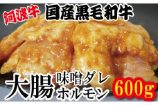 ホルモン 大腸 阿波牛 味噌漬け 200g×3パック 小分け 計600g  国産 牛 黒毛和牛 鍋 焼肉 脂 焼き シマチョウ もつ 肉 牛肉 BBQ 【北海道・東北・沖縄・離島への配送不可】