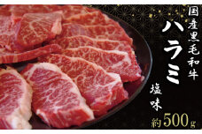  ハラミ 国産 冷凍 黒毛和牛 500g 特選 黒毛和牛 牛肉 焼肉 焼き肉 精肉 希少部位 BBQ はらみ 塩 味