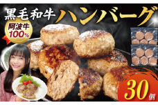 ハンバーグ 30個 弁当 国産 黒毛和牛 阿波牛 ミンチ ひき肉 淡路島 玉ねぎ 冷凍 真空 小分け 個包装 冷凍ハンバーグ 煮込み料理 合挽き 牛肉 豚肉 おかず お惣菜 弁当 徳島 小松島