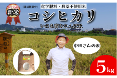 【令和7年産新米】米 コシヒカリ 5kg 天皇献上米 (栽培期間中）化学肥料・農薬不使用米 白米 精米 こめ  ご飯 備蓄米 ごはん 新米  環境 に優しい 小松島市 上王子特質米 5kg