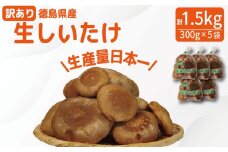 訳あり しいたけ 生 1.5kg 300g×5袋 徳島県産 国産 きのこ 茸 菌床椎茸 菌床栽培 菌糸 椎茸 生しいたけ 野菜 産地直送 ビタミンD 食物繊維 グアニル酸 低カロリー 健康 ダイエット 美容 出汁 鍋 煮物 味噌汁 うどん 徳島 小松島
