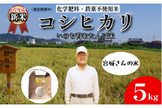 【令和7年産新米】米 コシヒカリ 5kg 天皇献上米 (栽培期間中）化学肥料・農薬不使用米 白米 精米 こめ  ご飯 備蓄米 ごはん 新米  環境 に優しい 小松島市 上王子特質米 5kg