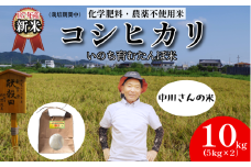 【令和7年産新米】米 コシヒカリ 10kg 天皇献上米 (栽培期間中）化学肥料・農薬不使用米 白米 精米 こめ  ご飯 備蓄米 ごはん 新米  環境 に優しい 小松島市 上王子特質米 10kg
