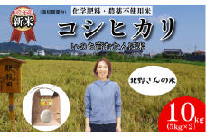 【令和7年産新米】米 コシヒカリ 10kg 天皇献上米  (栽培期間中）化学肥料・農薬不使用米 白米 精米 こめ  ご飯 備蓄米 ごはん 新米  環境 に優しい 小松島市 上王子特質米 10kg