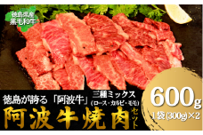 牛肉 阿波牛 焼肉用ミックス（ロース・カルビ・モモ）たれ漬け 600g（300g×2） 国産 肉 カルビ 味付け 柔らか 霜降り ご飯 米 焼肉 BBQ 冷凍 モモ ロース 小松島市