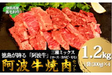 牛肉 阿波牛 焼肉用ミックス（ロース・カルビ・モモ）たれ漬け 1.2kg（300g×4） 国産 肉 カルビ 味付け 柔らか 霜降り ご飯 米 焼肉 BBQ 冷凍 モモ ロース 小松島市
