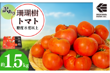 【2026年先行予約】 訳あり 珊瑚樹トマト約1.5kg 2026年4月発送 甘い トマト フルーツトマト 野菜 やさい 国産 産地直送 旬 新鮮 ソース 調味料 ケチャップ サラダ 美容 健康 お取り寄せ グルメ 贈答 ギフト プレゼント 人気 おすすめ ふるさと納税 冷蔵
